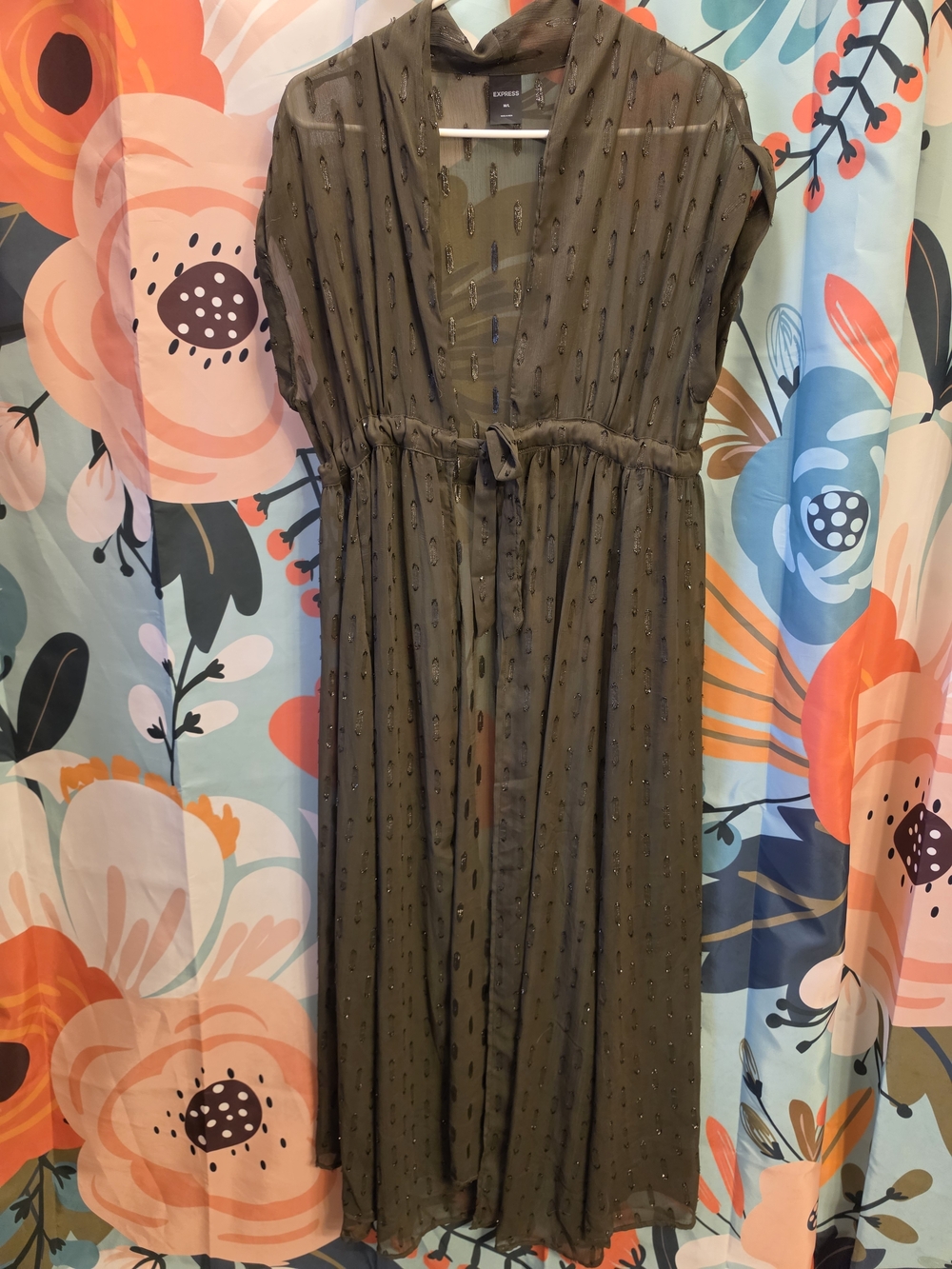 Express Olive Sheer Dot Long Coverup